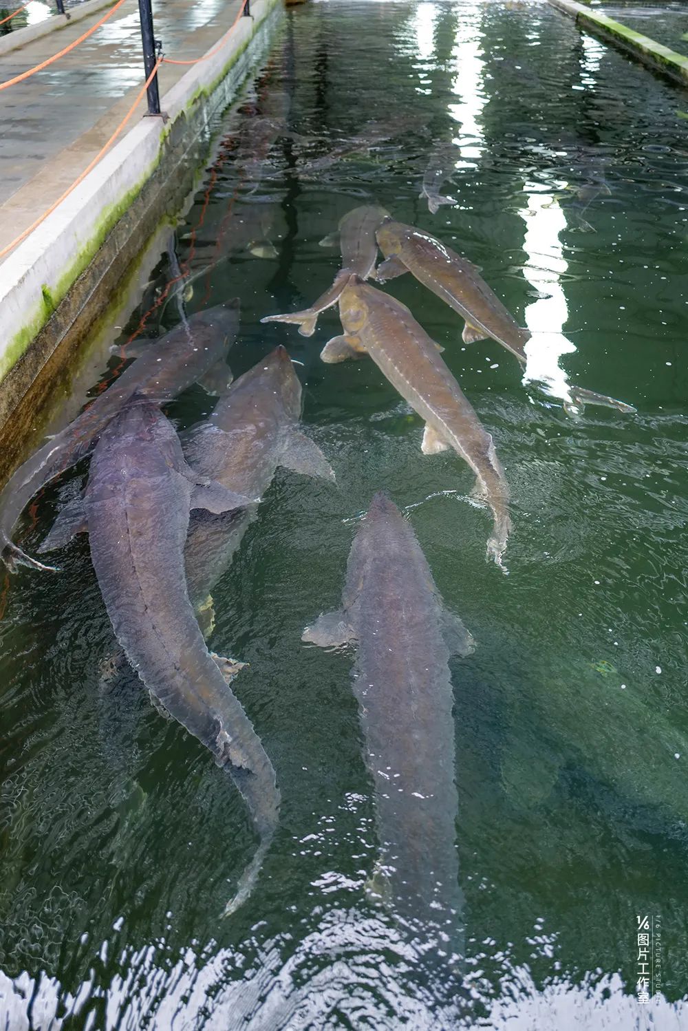 李忠文旅,宜昌市李忠