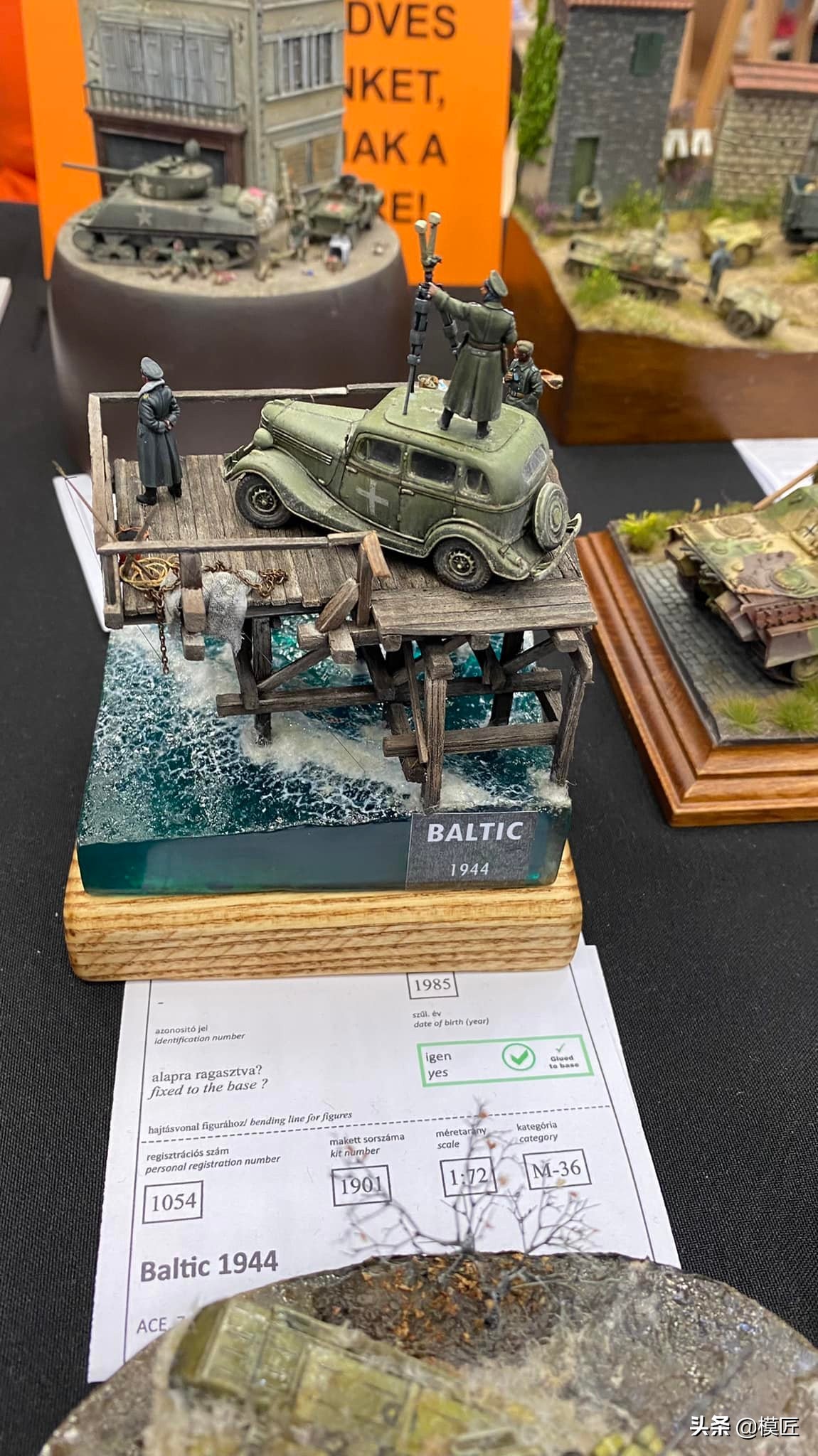 匈牙利莫森金奖,莫森模型展