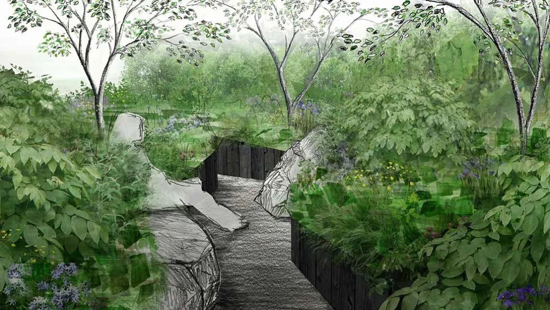 英国切尔西花展官网,切尔西花展正式对公众开放