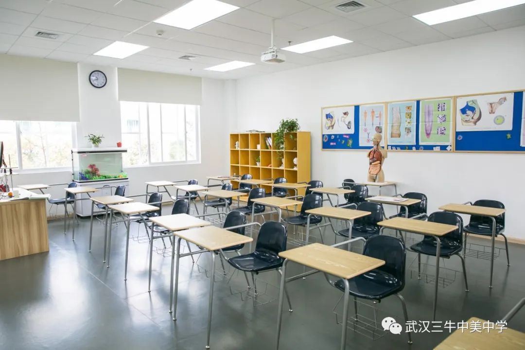 武汉三牛中美中学怎么进,武汉三牛中美中学分数线