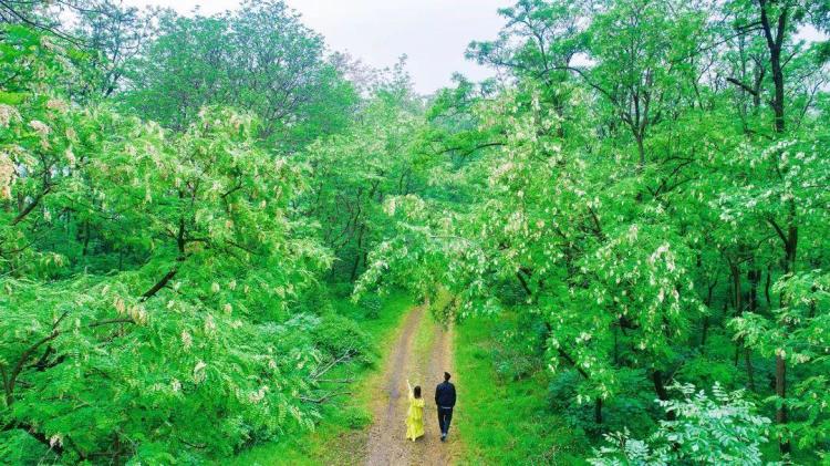 济南3-4月份赏花适合去哪里旅游,五一济南哪里好玩