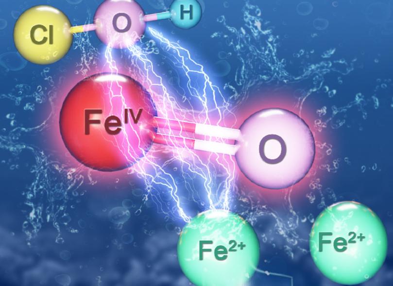 鍖栧璇剧▼涓庢暀瀛﹀疄璺电殑鍒嗘瀽,搴旂敤鍦扮悆鍖栧璇剧▼璁捐