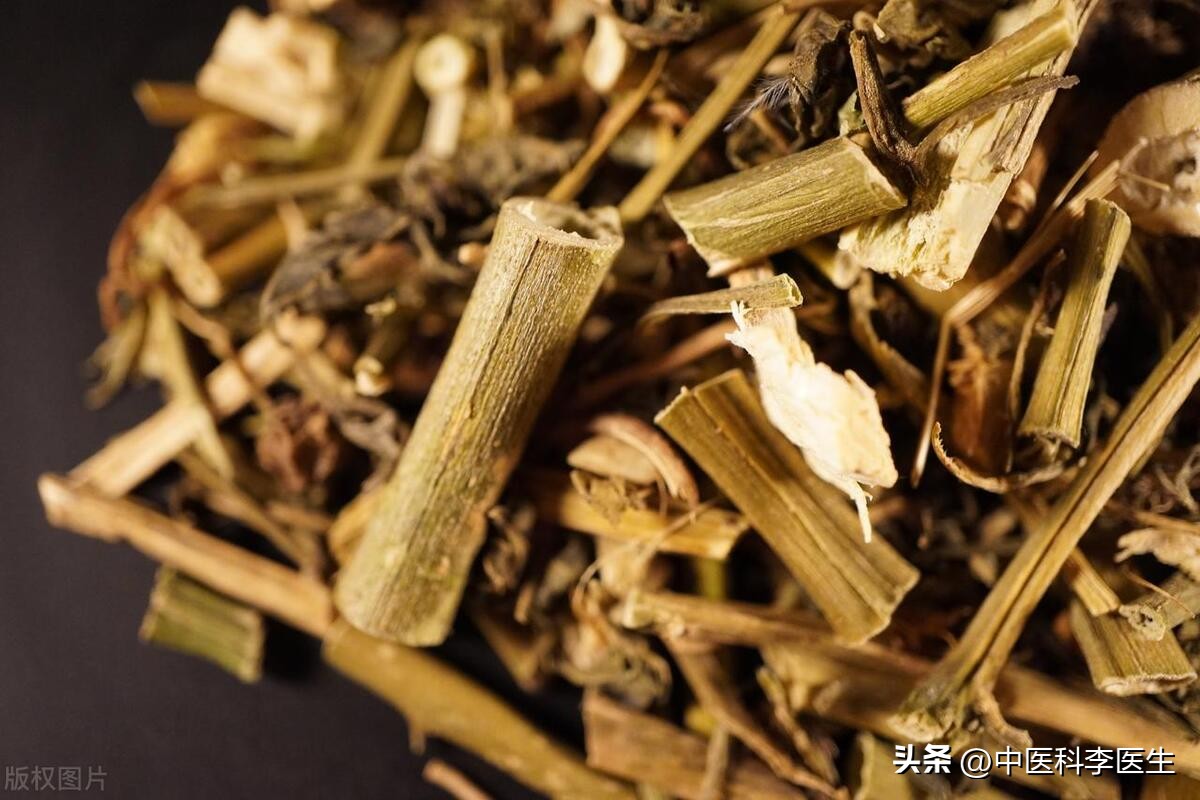 抗癌草药龙葵的食用方法,龙葵主要抗癌成分是什么