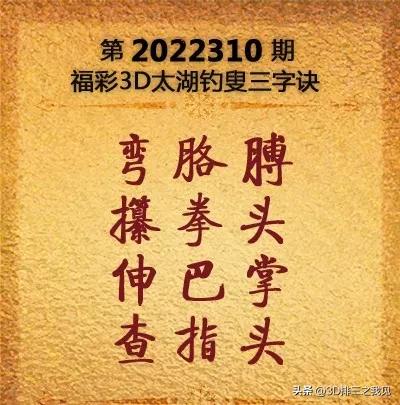 福彩3D第310期太湖字谜解析和开奖结果预测再思考