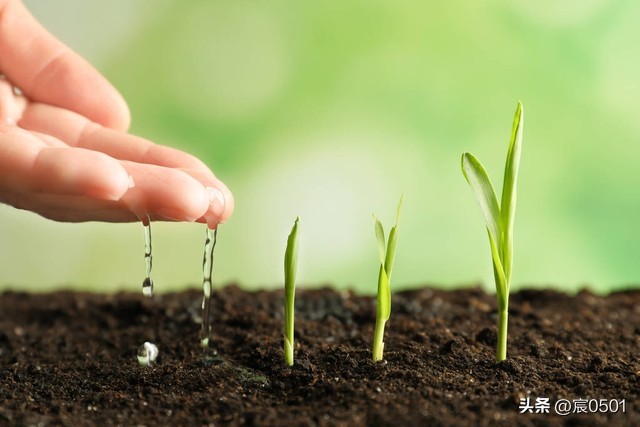 女儿小时候婆婆给捏奶核她不让,如今后悔:外孙连母乳都吃不上