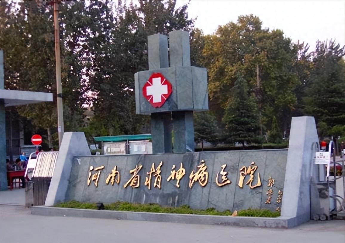 被强制抓进精神病院怎么打官司,河南农妇被关精神病院