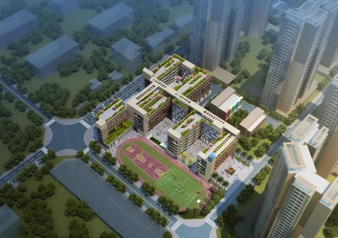 教育集团化办学成为趋势,深圳沙井新增4所集团学校
