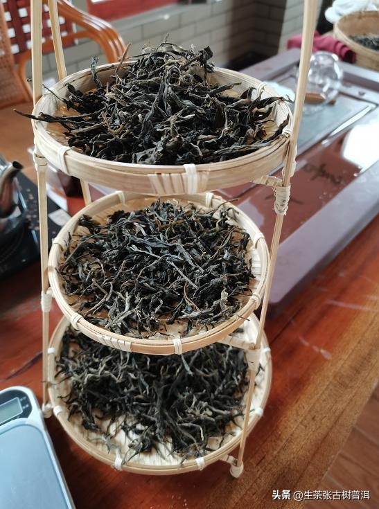 普洱茶每个步骤都需要精湛的工艺,了解普洱茶的必备知识有哪些方面