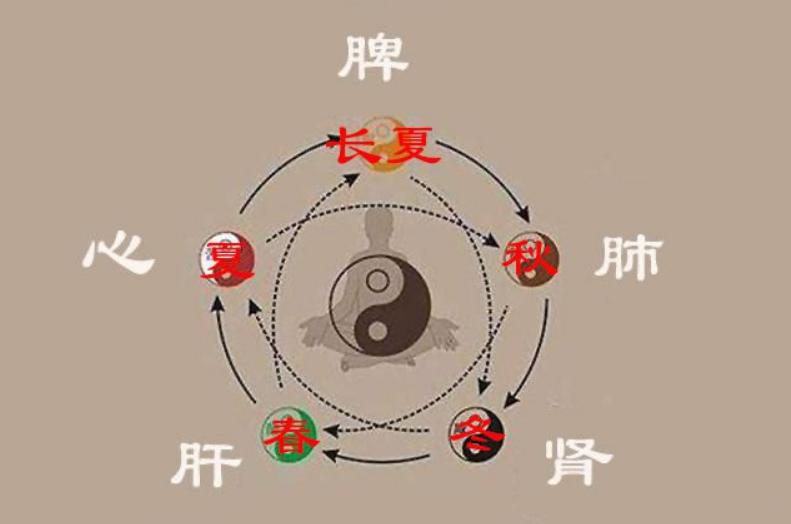 张仲景治疗抑郁症的千古名方,张仲景治抑郁的所有药方