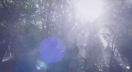 韩国版荒岛求生完整版,韩国荒岛求生节目