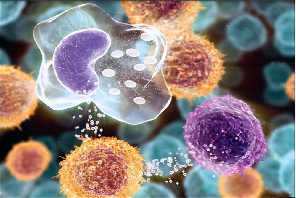 洗屁屁比洗脸重要,洗屁股比洗脸更重要