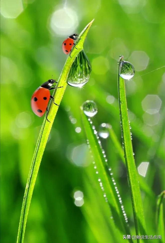 2022年的年景预测,预测2022年什么年景