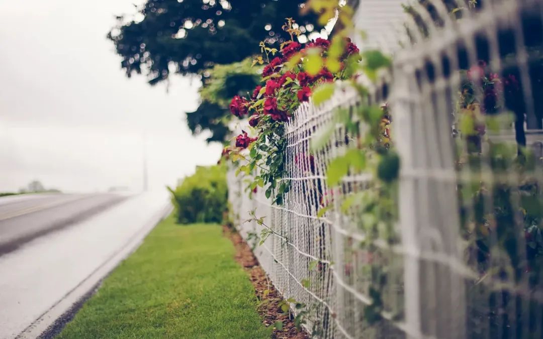 寒假日记打羽毛球400字20篇六年级,寒假日记大全300字三年级寒假趣事