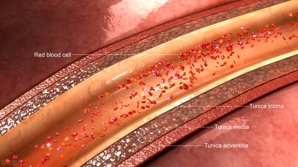 全身长包中医,身体淤堵有结节和肌瘤