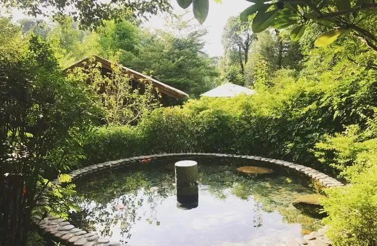 漳州泡温泉旅游攻略路线,春节漳州一日游最佳去处