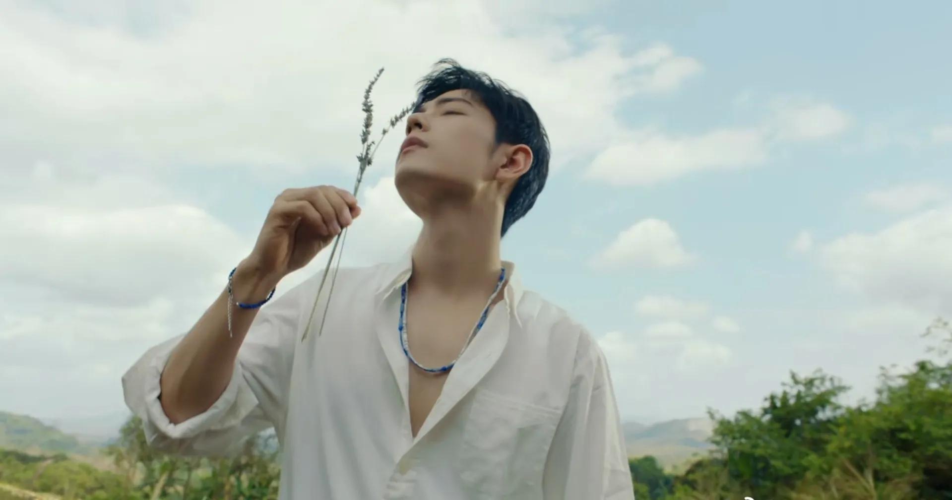 肖战天生侠气风骨,肖战清秀的五官