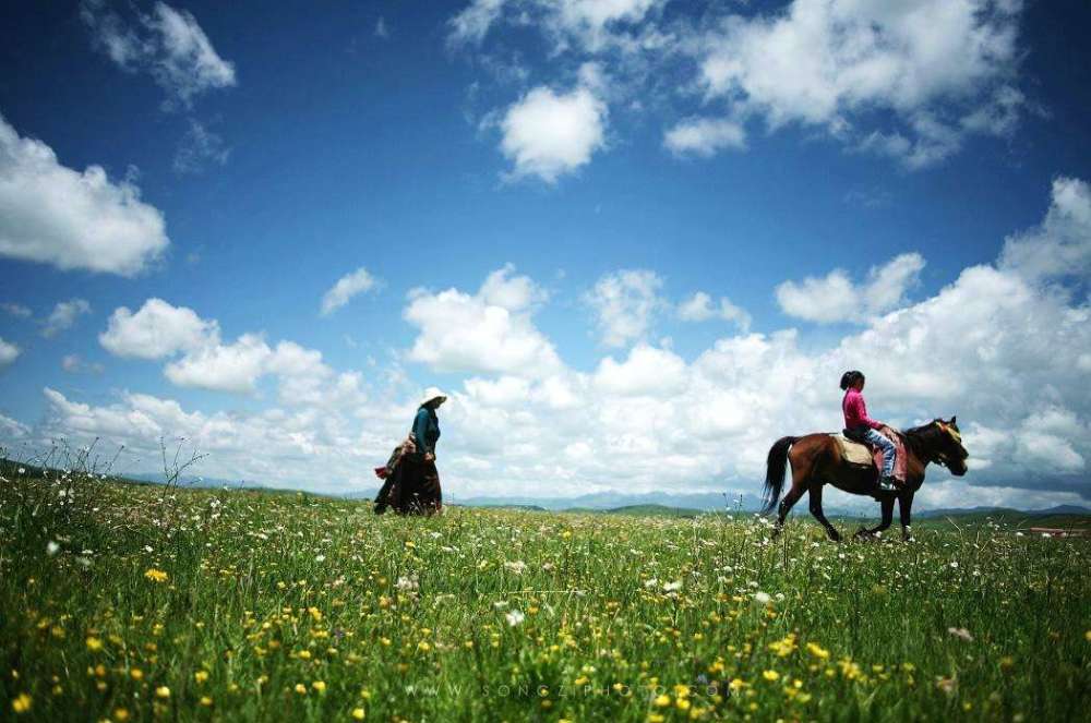 四川最美草原—若尔盖草原欣赏