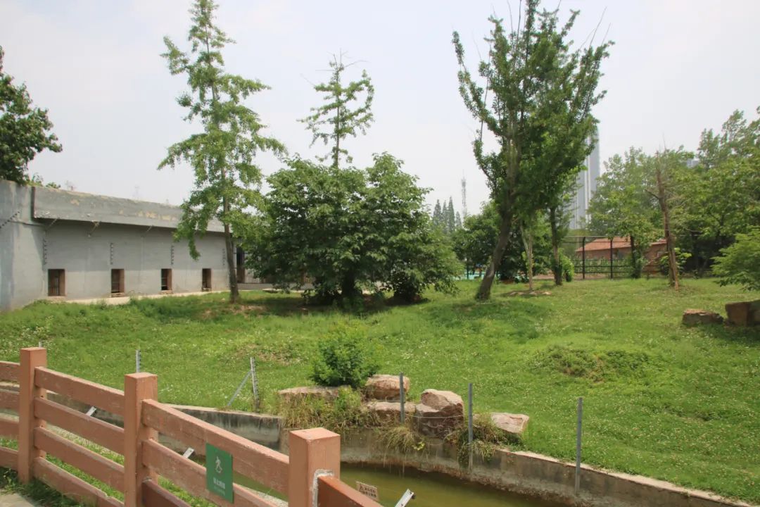 邢台动物园变大了没,淮安动物园开发时间