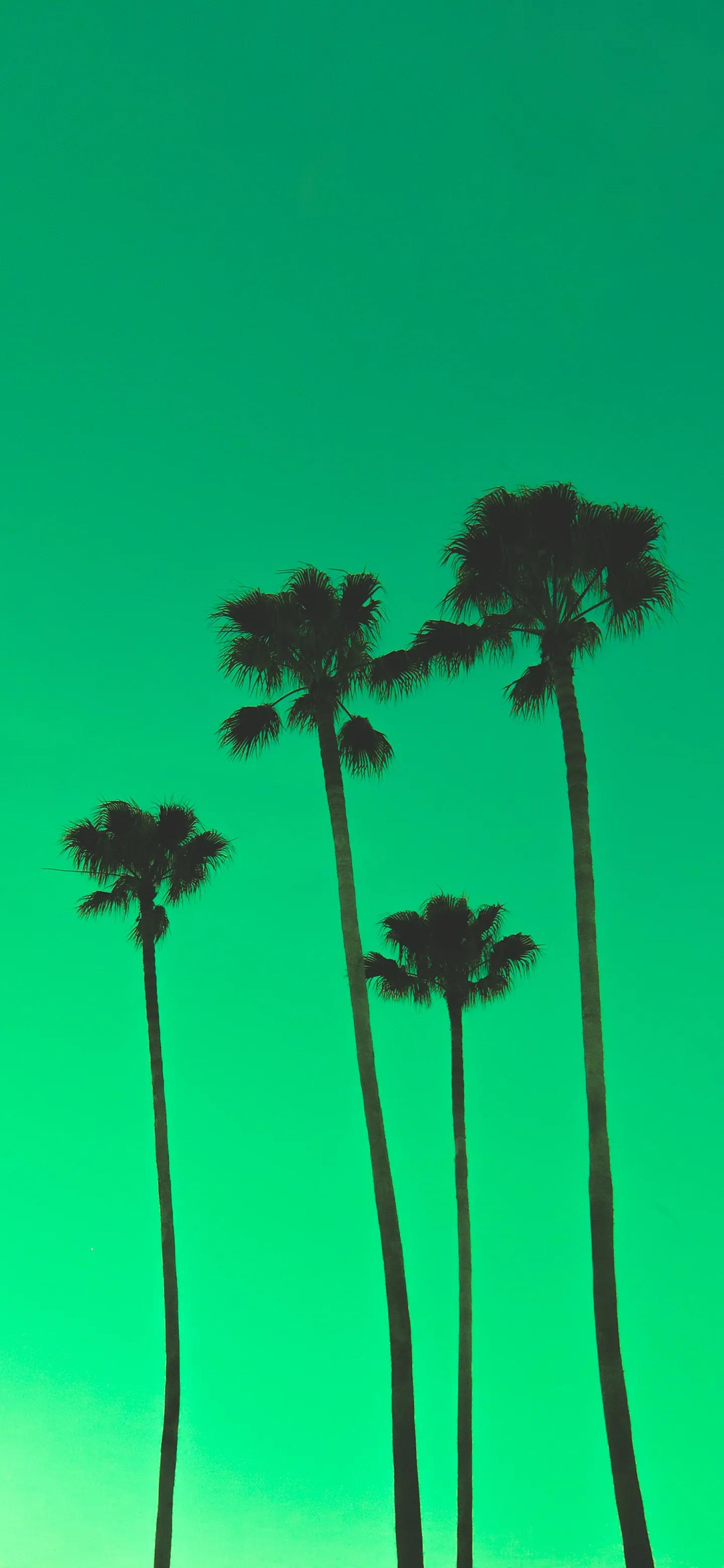 iphone壁纸视觉缩放开关,iphone壁纸认知地图