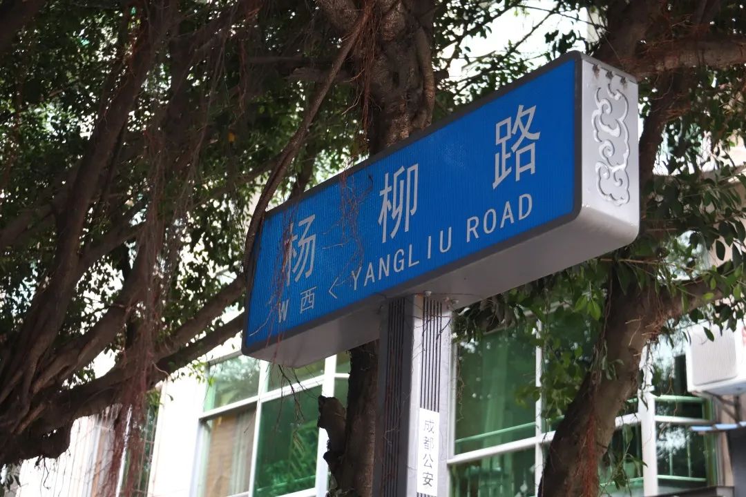 港剧那些年追过的剧,好港