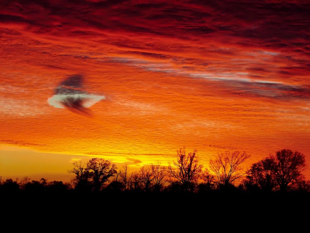 赏云协会入会多少钱,赏云协会怎么加入