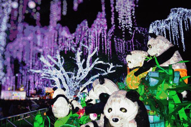 上元夜，元宵节，佳期逢礼知多少？Happy兔You!