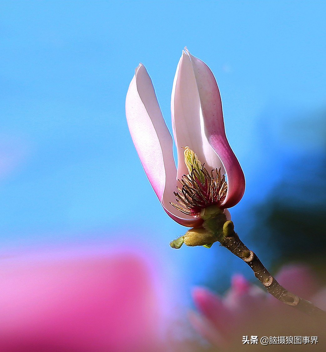 拍照如何确保对焦准确,拍照时对焦很难对上