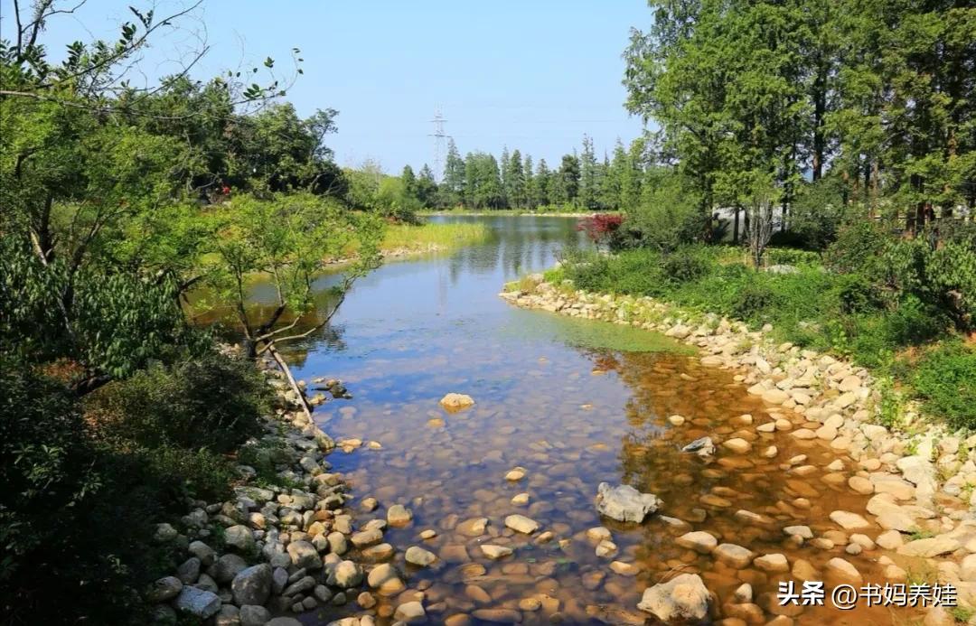 徐州自驾游一日游景点大全,徐州4日游必玩景点攻略