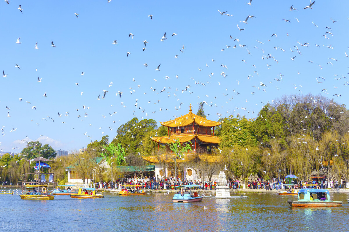 头条抄书打卡第四条之春天的古诗