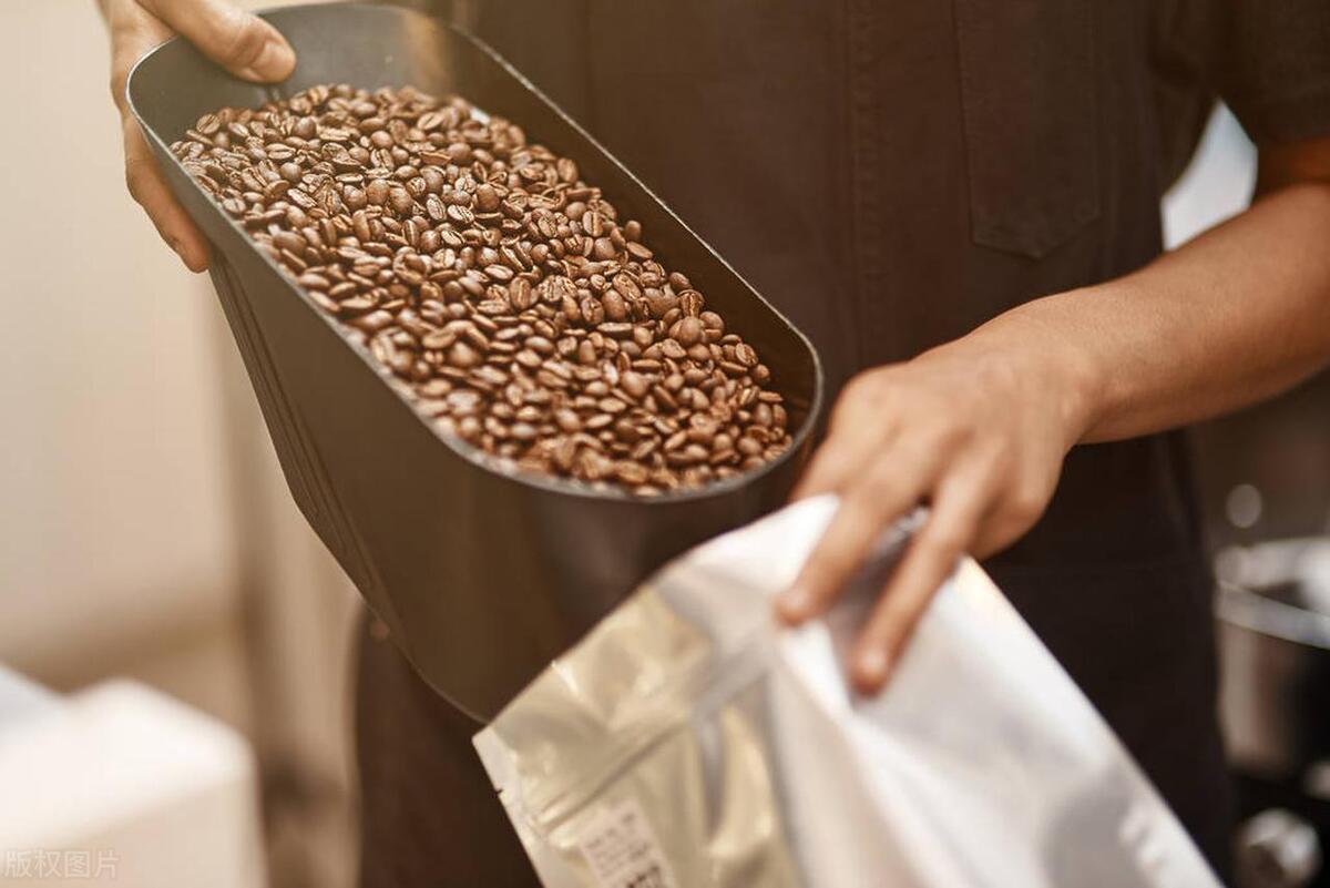 新手入门买什么咖啡豆,咖啡爱好者咖啡豆选购