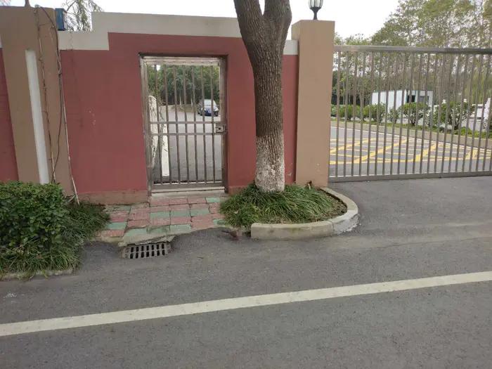 画与景,幼儿长卷画景