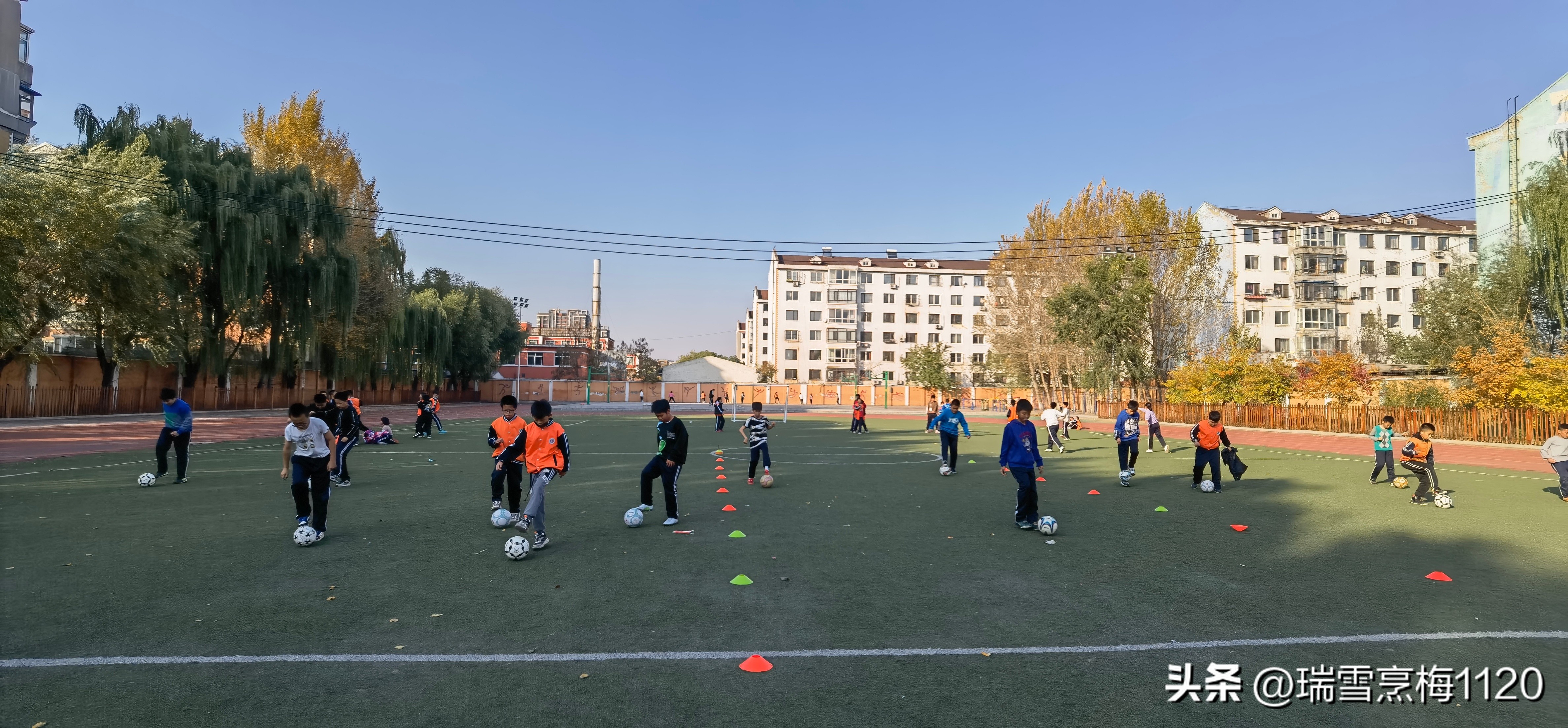 沈北新区新城子街第一小学怎么样,新城子街第一小学2015届