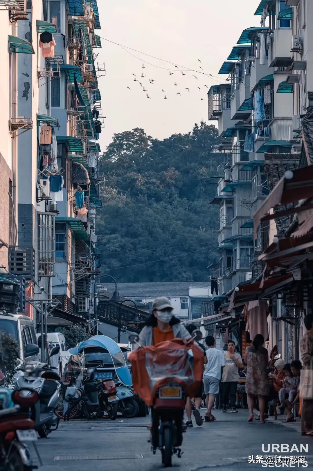 被网红玩烂的几款车,被网红毁掉的二手车