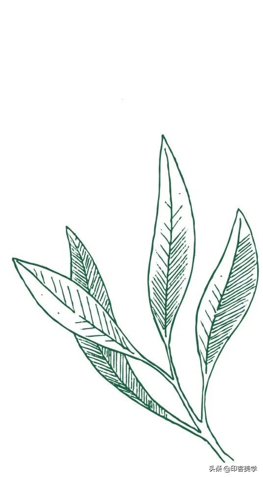 经典的爱情是什么,塑料爱情图片