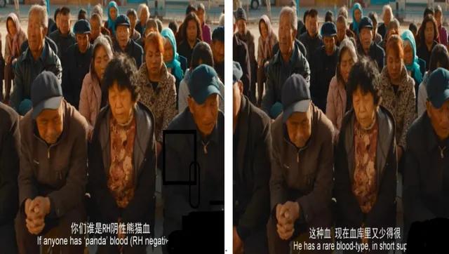 熊猫献血会被强行抽血吗,熊猫血被强行抽取犯法吗