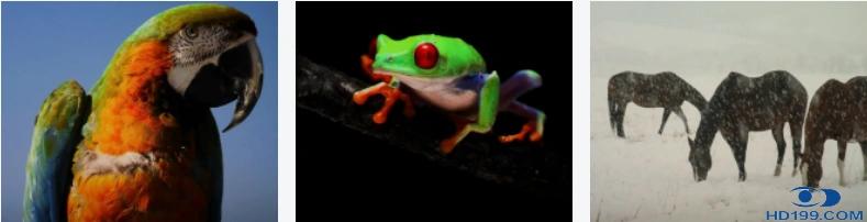 三星lsp9t激光电视参数,三星lsp9t评测