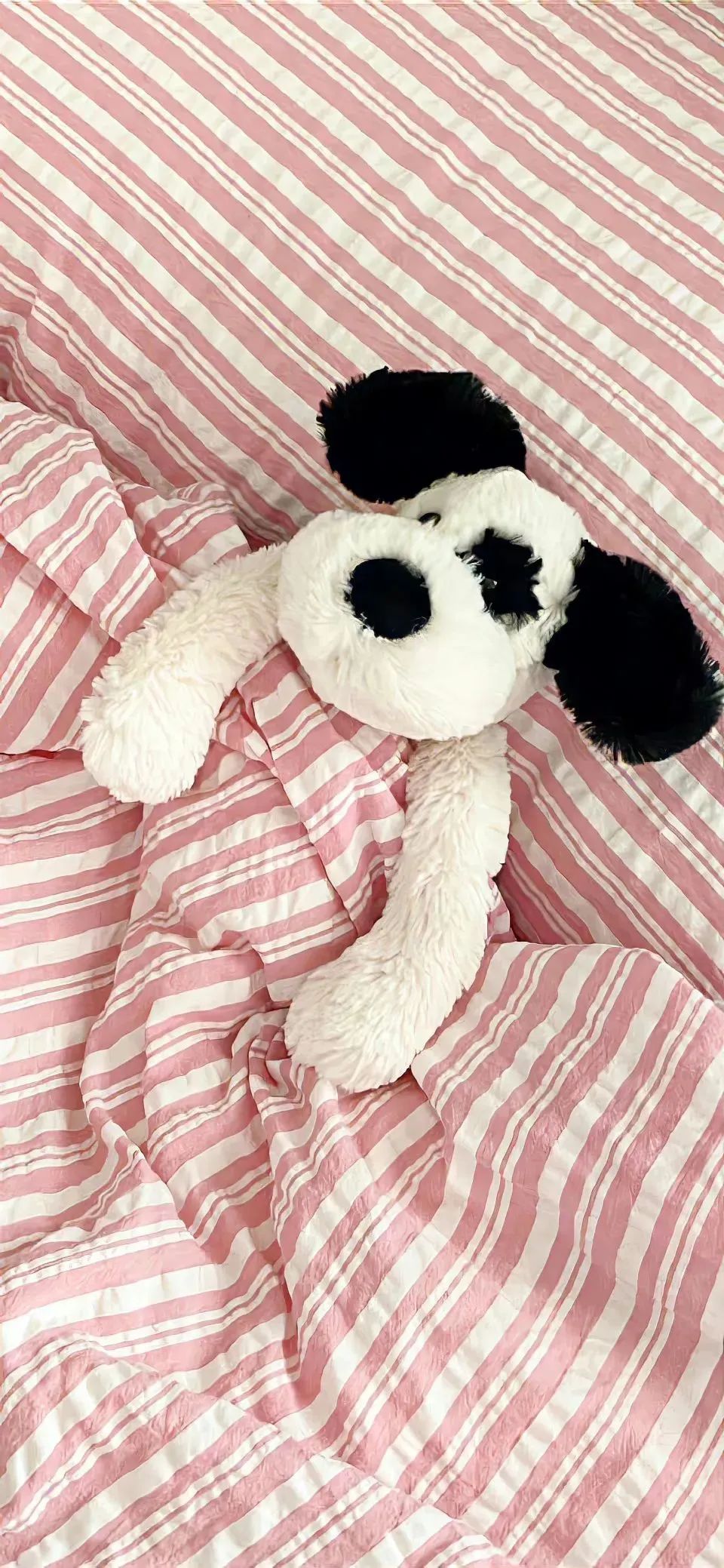 多功能可爱卡通壁纸,高清壁纸卡通可爱黄底图文