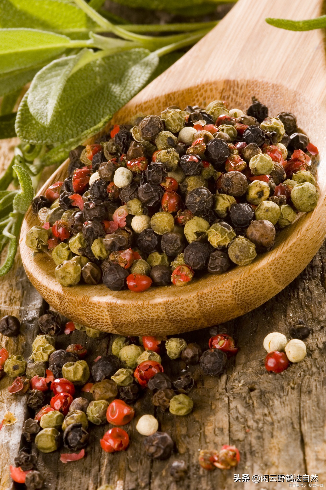 炒菜常用胡椒,胡椒适用于什么菜品