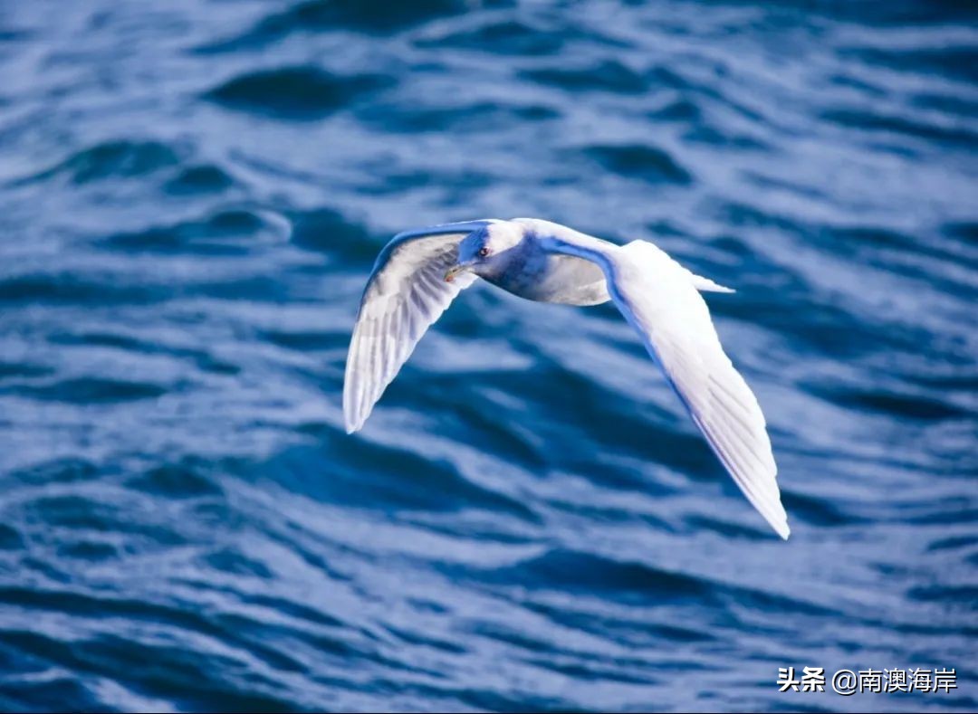 gogogo杭州,南澳岛夏日游