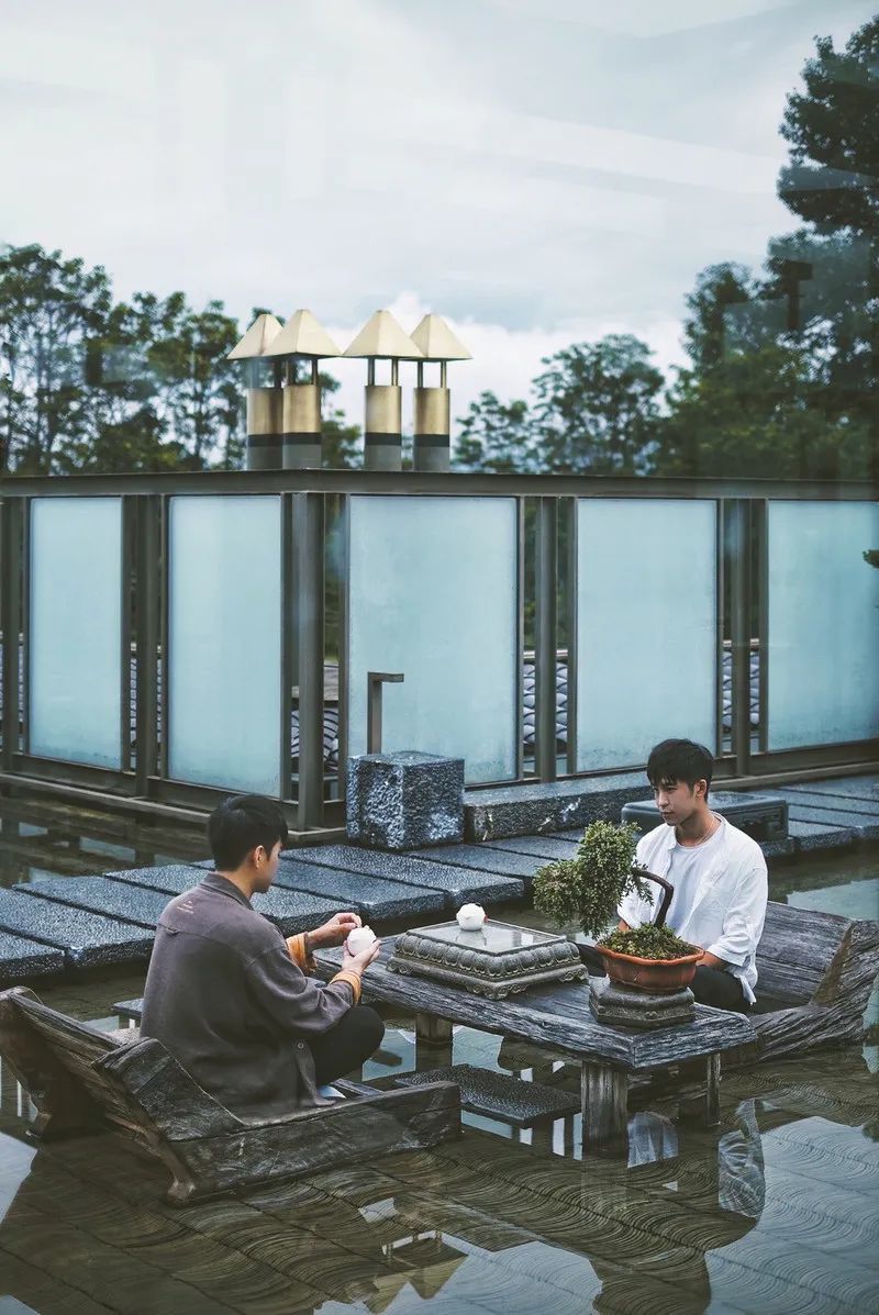 拜托！喝一杯价值8000多万的古树茶，住雪山博物馆酒店，超酷欸