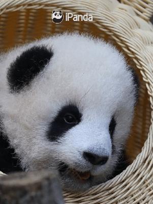 怎么快速度过失恋迷茫期,怎么快速度过工作期