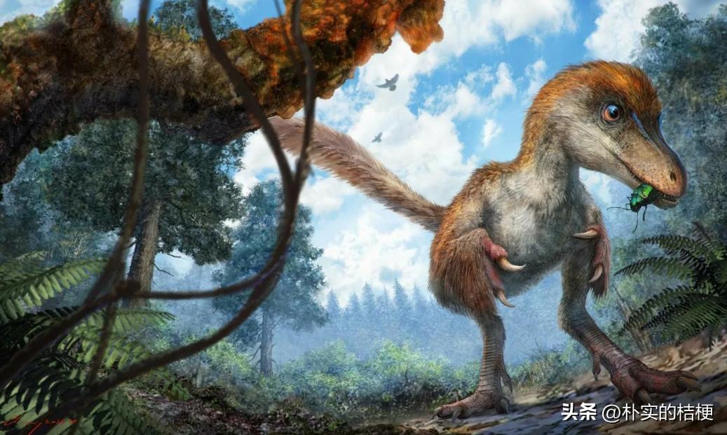 恐龙化石复原的错误,恐龙的错误复原