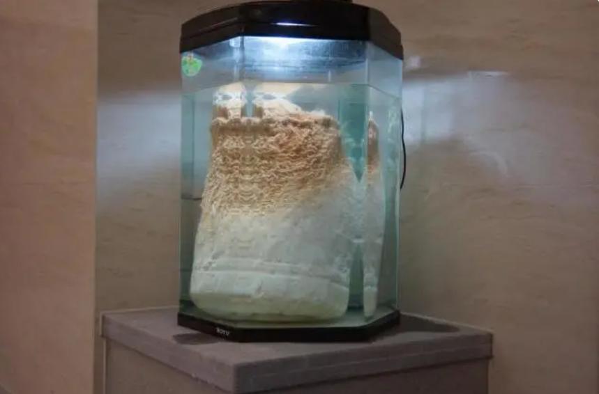 醋里面长的肥肉,醋里面长的肉