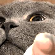 五一假期干货,五一假期有什么挣钱的小生意