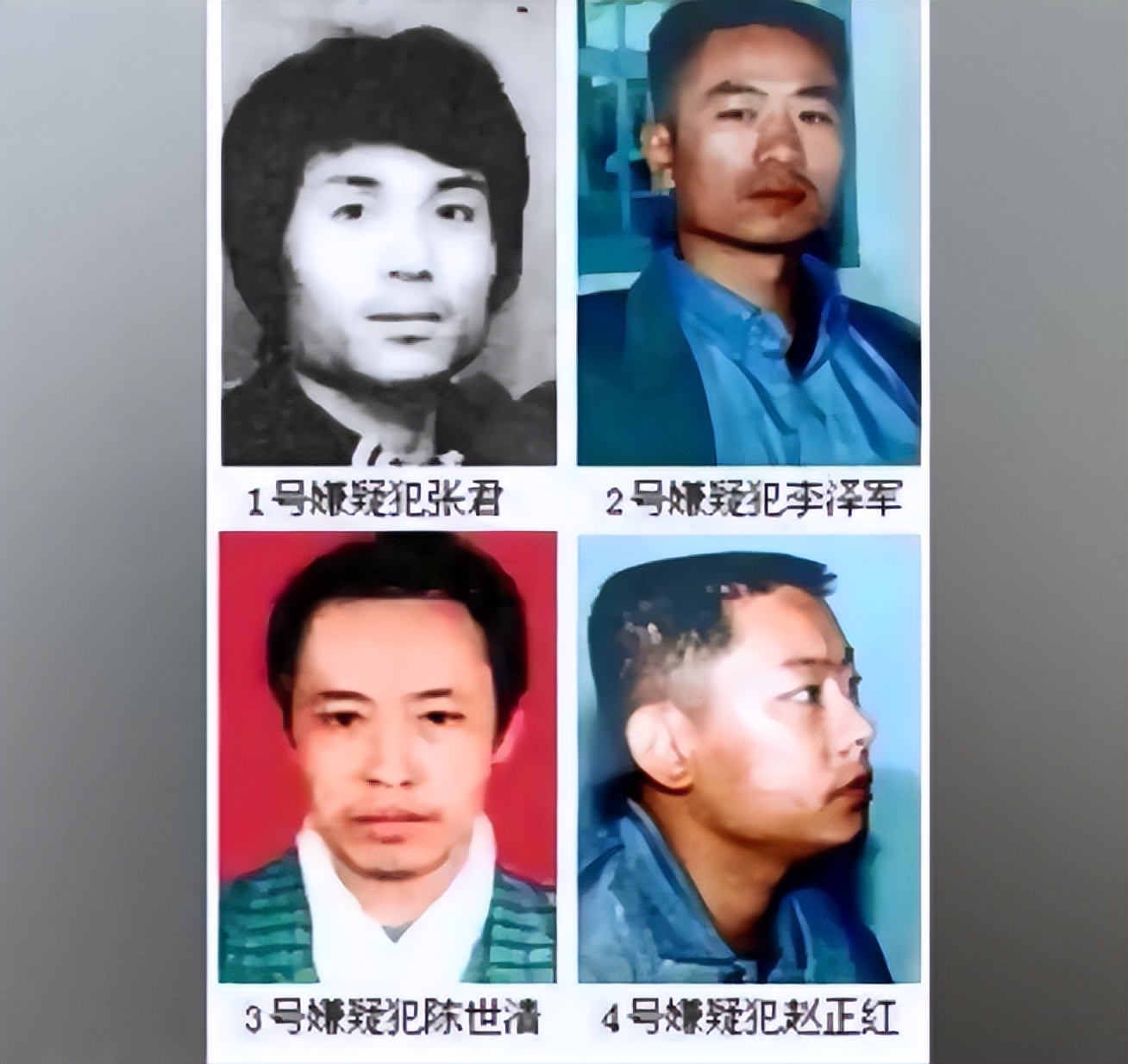 中国十大悍匪张君纪实完整版,第一悍匪张君落网始末