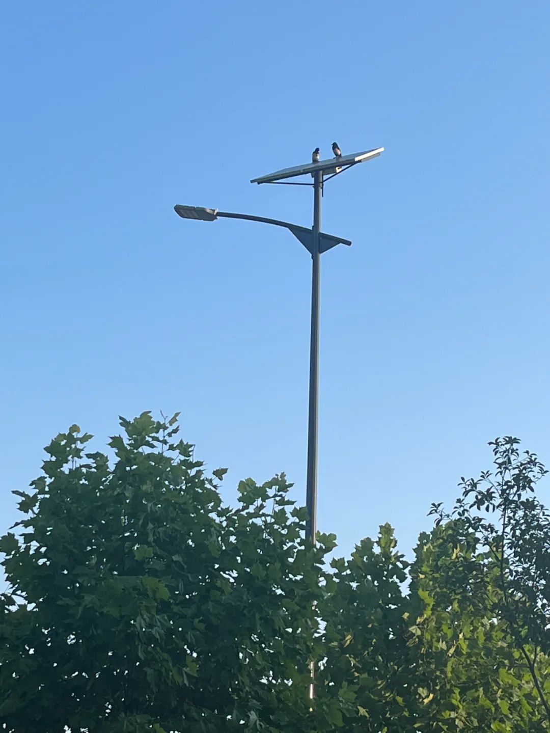 7月份人来人往街道,7月北京人山人海