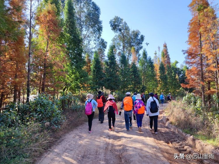 云南昆明滇池小渔村展新颜,滇池边的小渔村