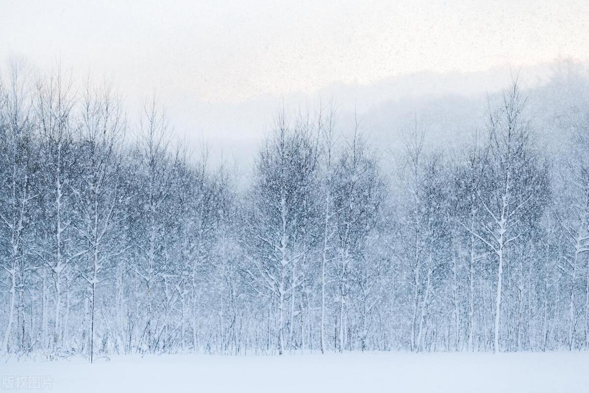 女生不喜欢你的九大表现,女生不喜欢你的9大表现