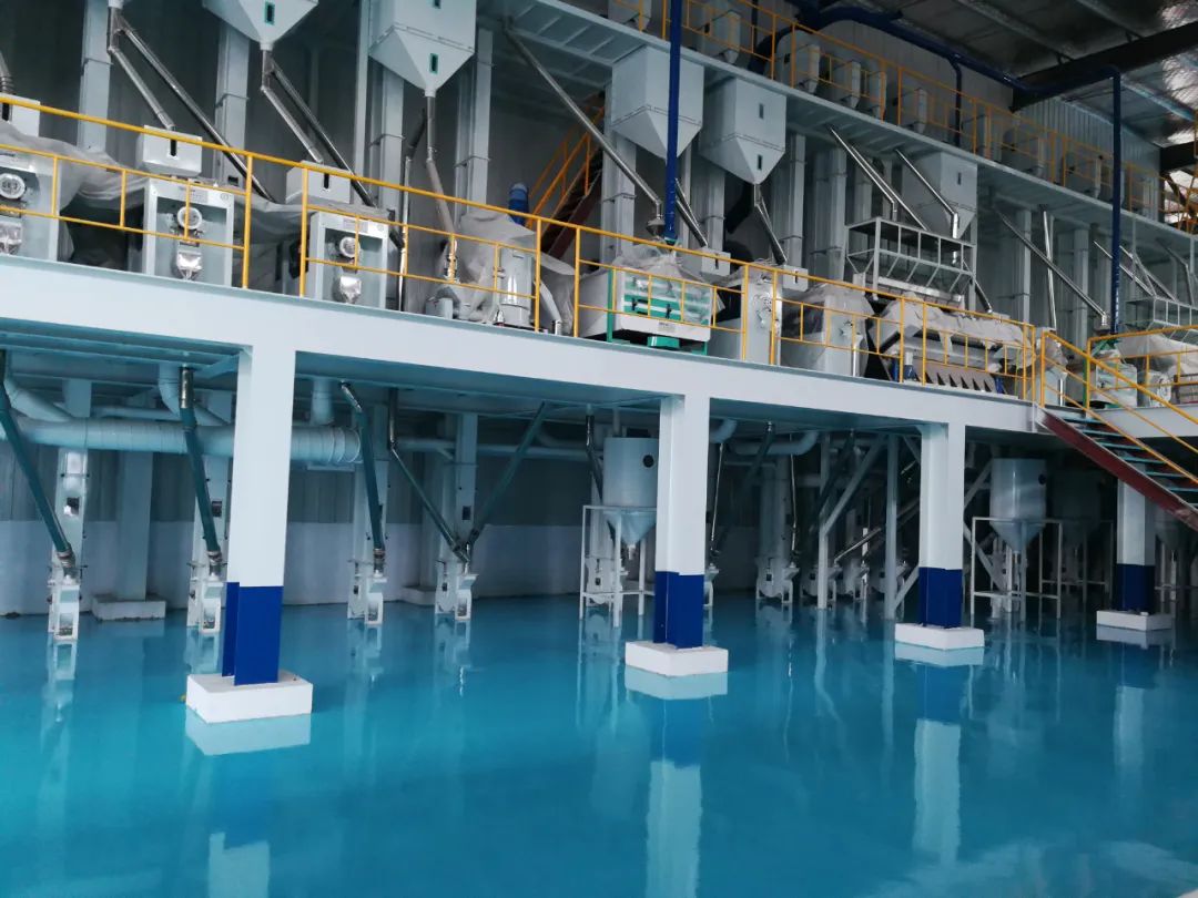 大米的行业趋势,大米加工行业的未来