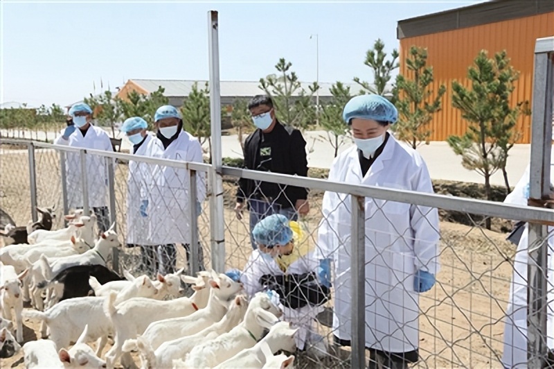 科技兴农激活乡村振兴新动能,科技兴农助力乡村振兴